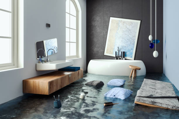 Best Carpet water damage restoration  in Clinton, IL