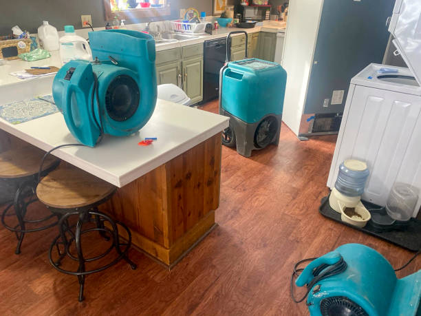 Best Water damage contractors near me  in Clinton, IL