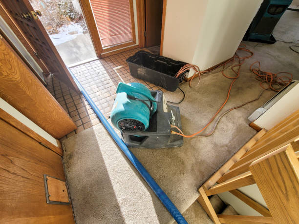 Best Sewage cleanup and water damage restoration  in Clinton, IL