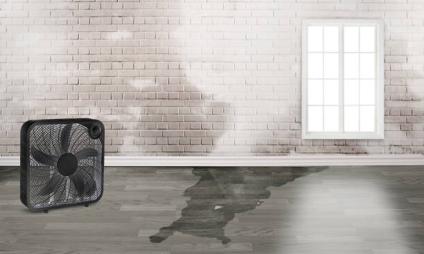 Best Residential water damage restoration  in Clinton, IL