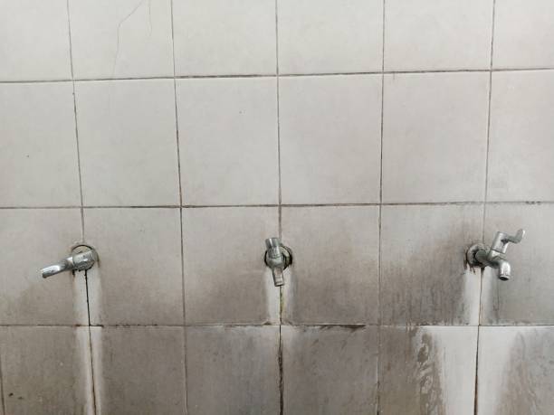  Clinton, IL Water damage restoration Pros