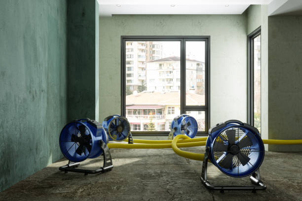 Best Local water damage restoration  in Clinton, IL