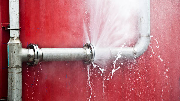Best Flooded house restoration  in Clinton, IL