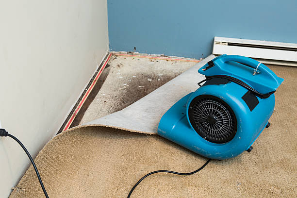 Best Professional water damage repair  in Clinton, IL